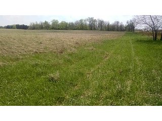 Tract 1 - Real Estate Auction in Central Ohio, 181+/- Acres offered in 4 Tracts in Union County